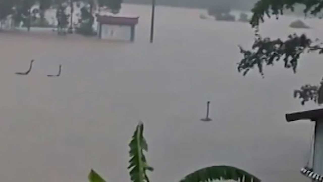 বন্যায় খামার থেকে পালাল ৯০০ সাপ, লোকালয়ে আতঙ্ক