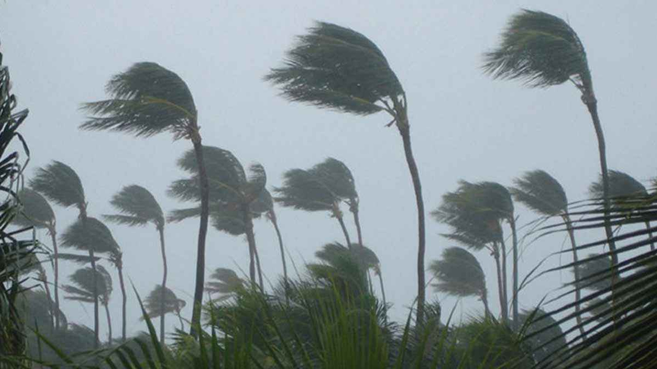 ৯ জেলায় বজ্রবৃষ্টিসহ ঝড়ের আভাস