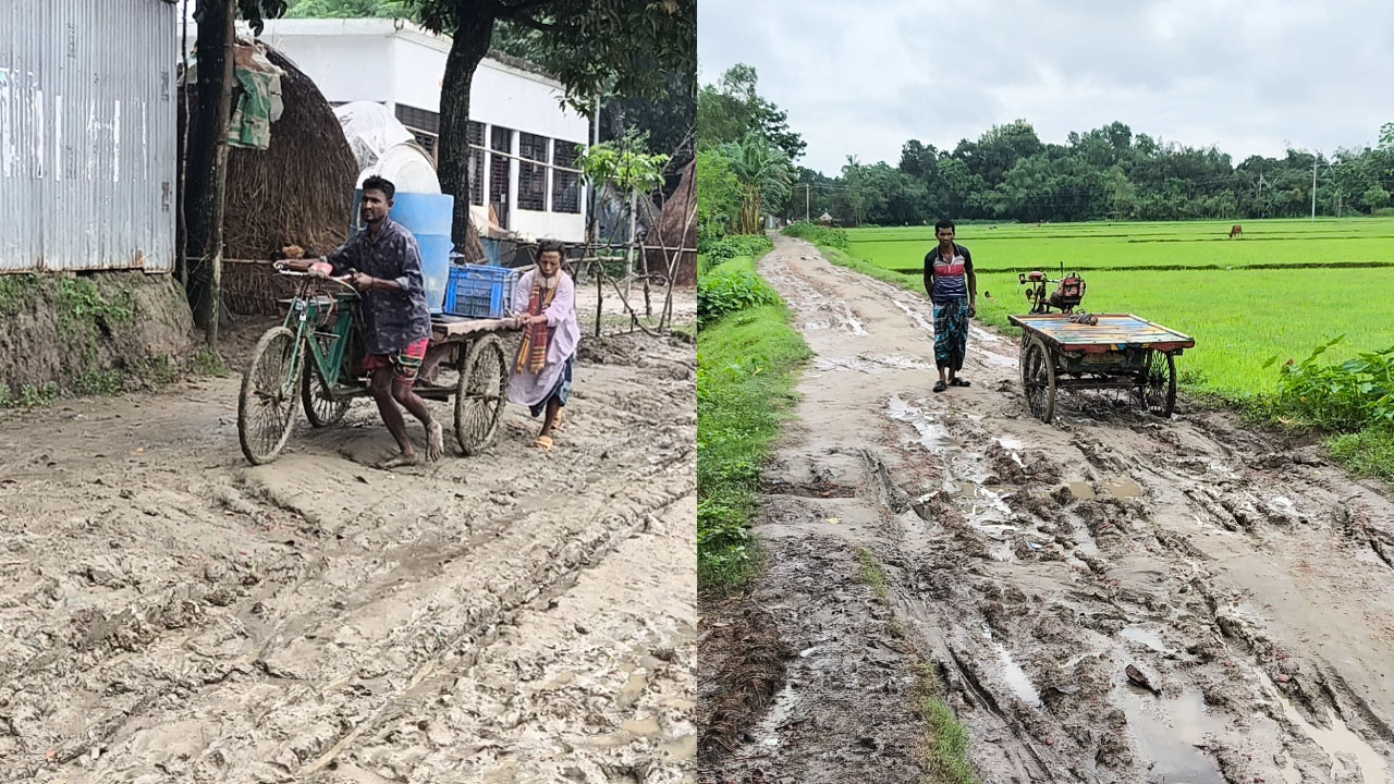 ইট তুলে নিয়ে বিক্রি করায় পুরোনো সড়কজুড়ে কেবলই কাদা আর গর্ত। ছবি : এশিয়া পোস্ট