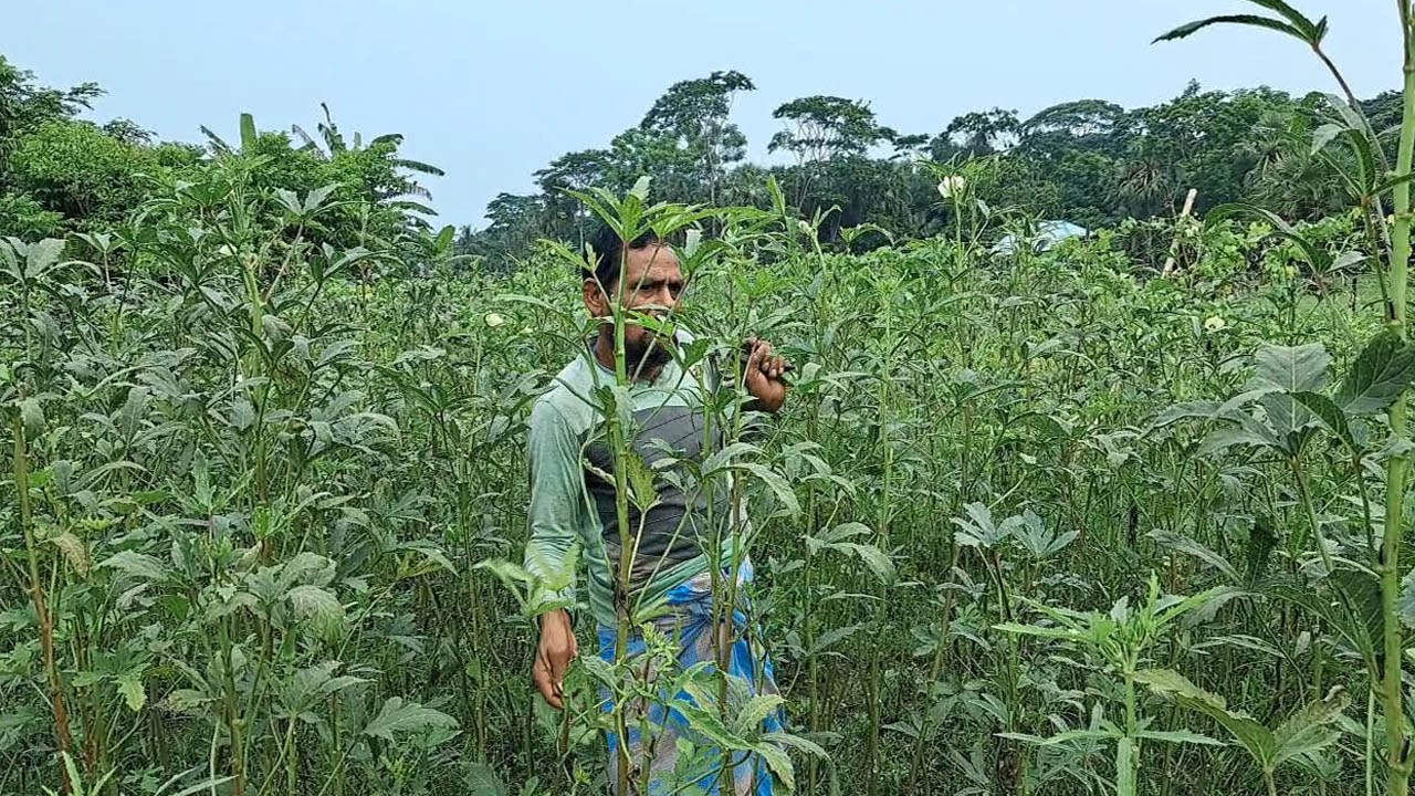 ছবি: এশিয়া পোস্ট