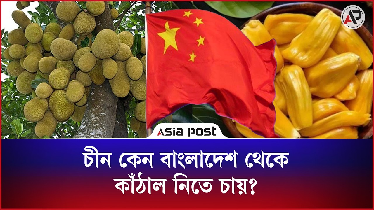 চীন কেন বাংলাদেশ থেকে কাঁঠাল নিতে চায়?