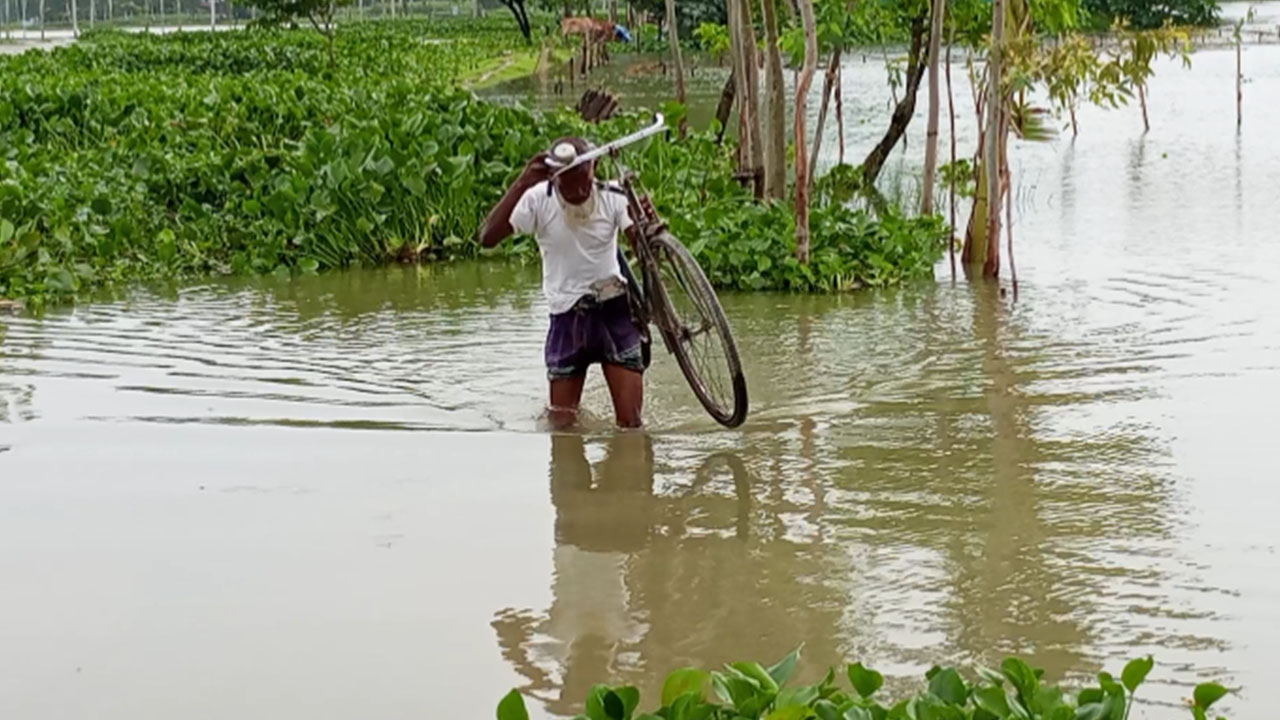 পানিতে এলাকা প্লাবিত হওয়ায় সাইকেল কাঁধে নিয়ে রাস্তা পার হচ্ছেন এক বৃদ্ধ। ছবি : এশিয়া পোস্ট