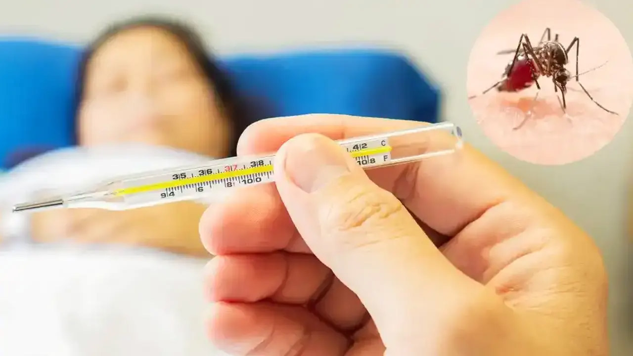 ডেঙ্গুর ঢাকা: প্রতি বর্ষায় কেন একই আতঙ্ক