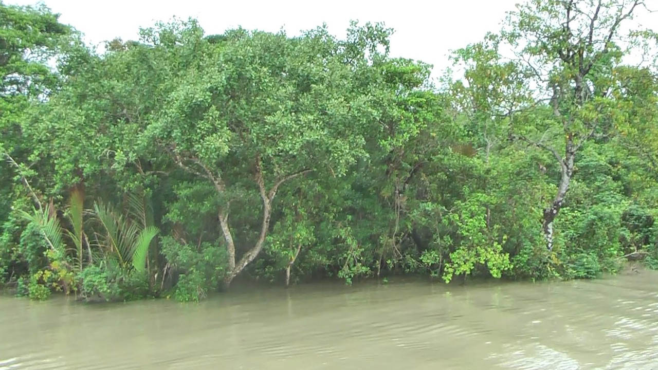 ছবি: এশিয়া পোস্ট