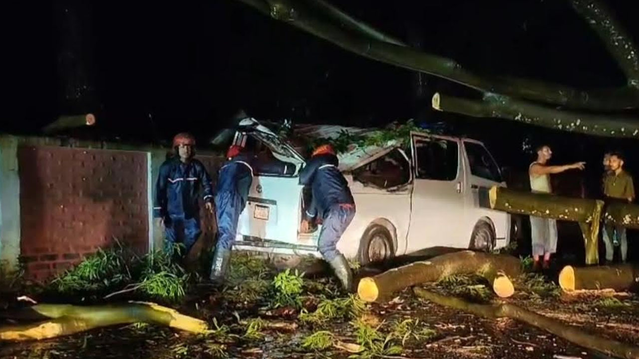 অতিবৃষ্টিতে অ্যাম্বুলেন্সের ওপর ভেঙে পড়ল গাছ