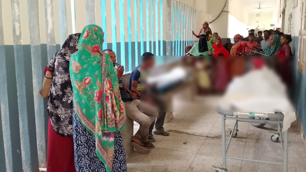 বিদ্যুতের লাইন মেরামতের সময় প্রাণ গেল দুই শ্রমিকের