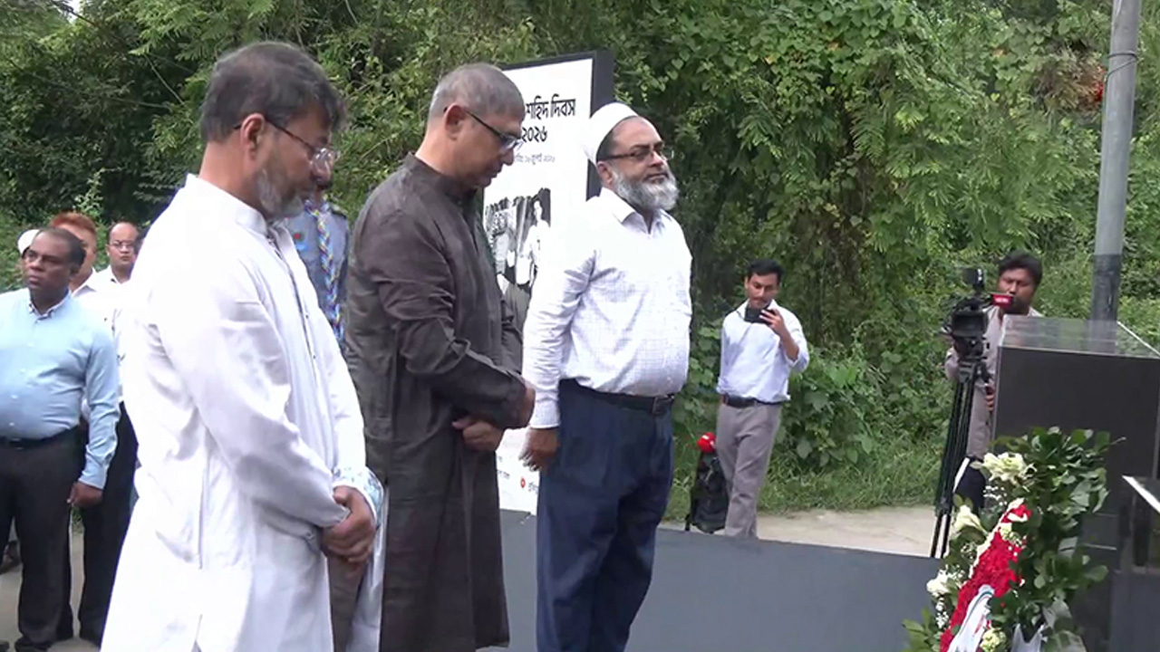 জুলাই চেতনায় উদ্বুদ্ধ হয়ে বিএনপি সরকার এগিয়ে যাবে: মুক্তিযুদ্ধবিষয়ক মন্ত্রী