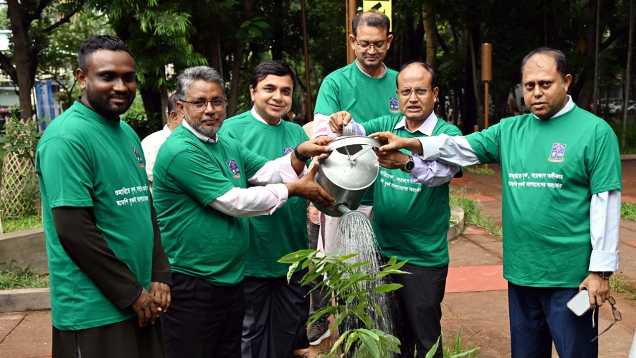 ঢাবির বৃক্ষশুমারিতে পাওয়া গেল ২৭৭ প্রজাতির গাছ