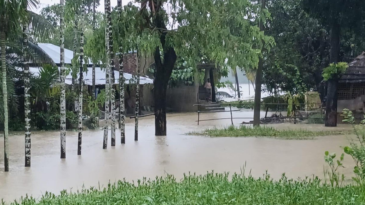ছবি: এশিয়া পোস্ট