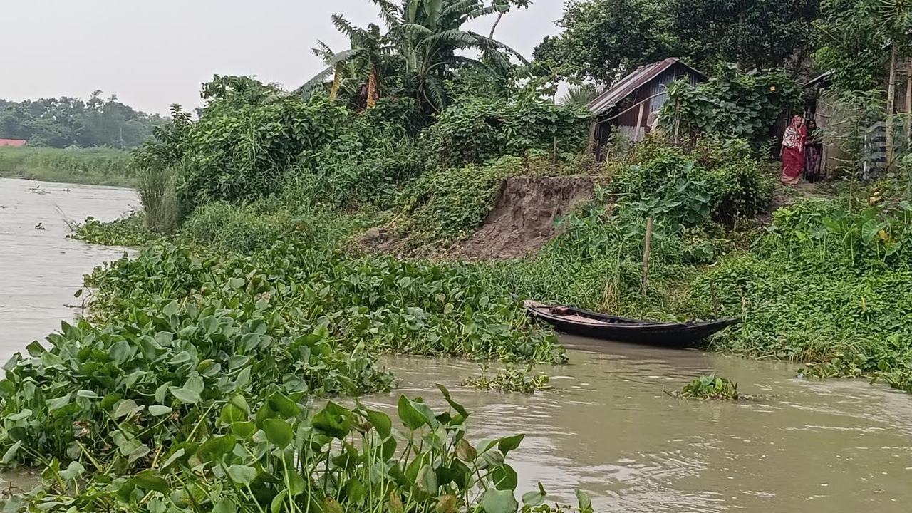 ভাঙনে বিলীন হচ্ছে বসতভিটা। ছবি: এশিয়া পোস্ট