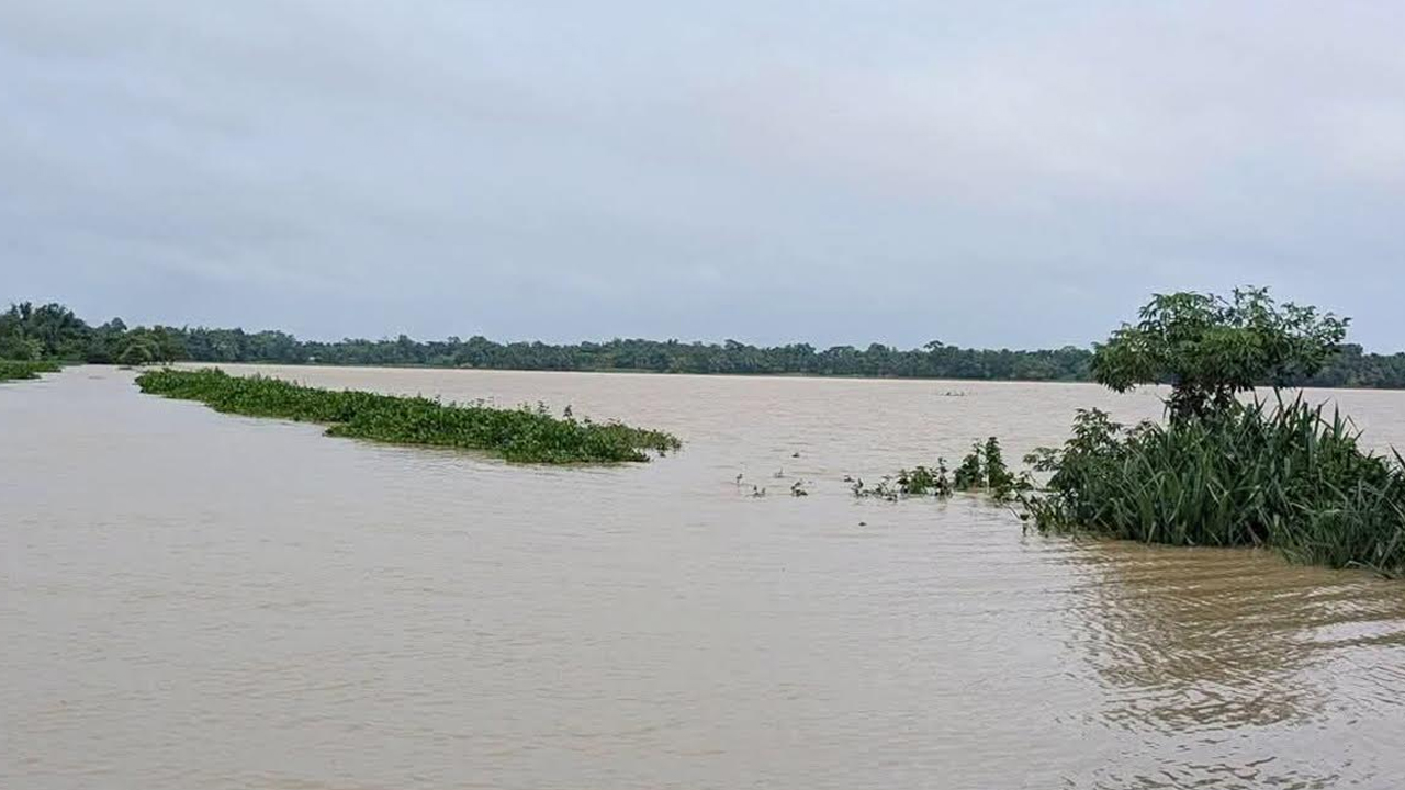 দীর্ঘস্থায়ী বন্যার শঙ্কা নেই, মৌলভীবাজারে কমতে শুরু করেছে পানি