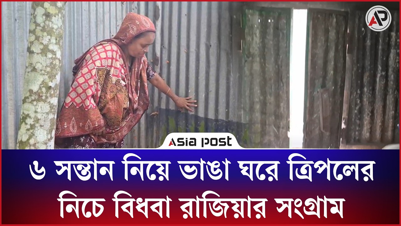 ভাঙা ঘরে ত্রিপলের নিচে বিধবা রাজিয়া, ৬ সন্তান নিয়ে নিরাপদ আশ্রয়ের অপেক্ষা