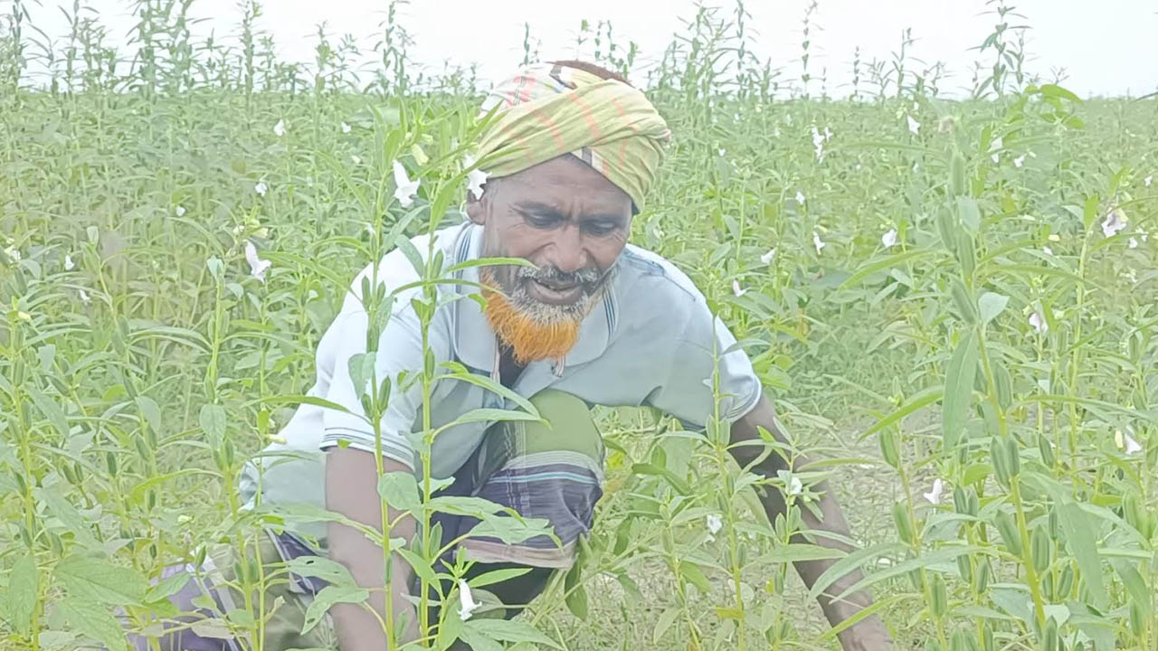 ছবি: এশিয়া পোস্ট