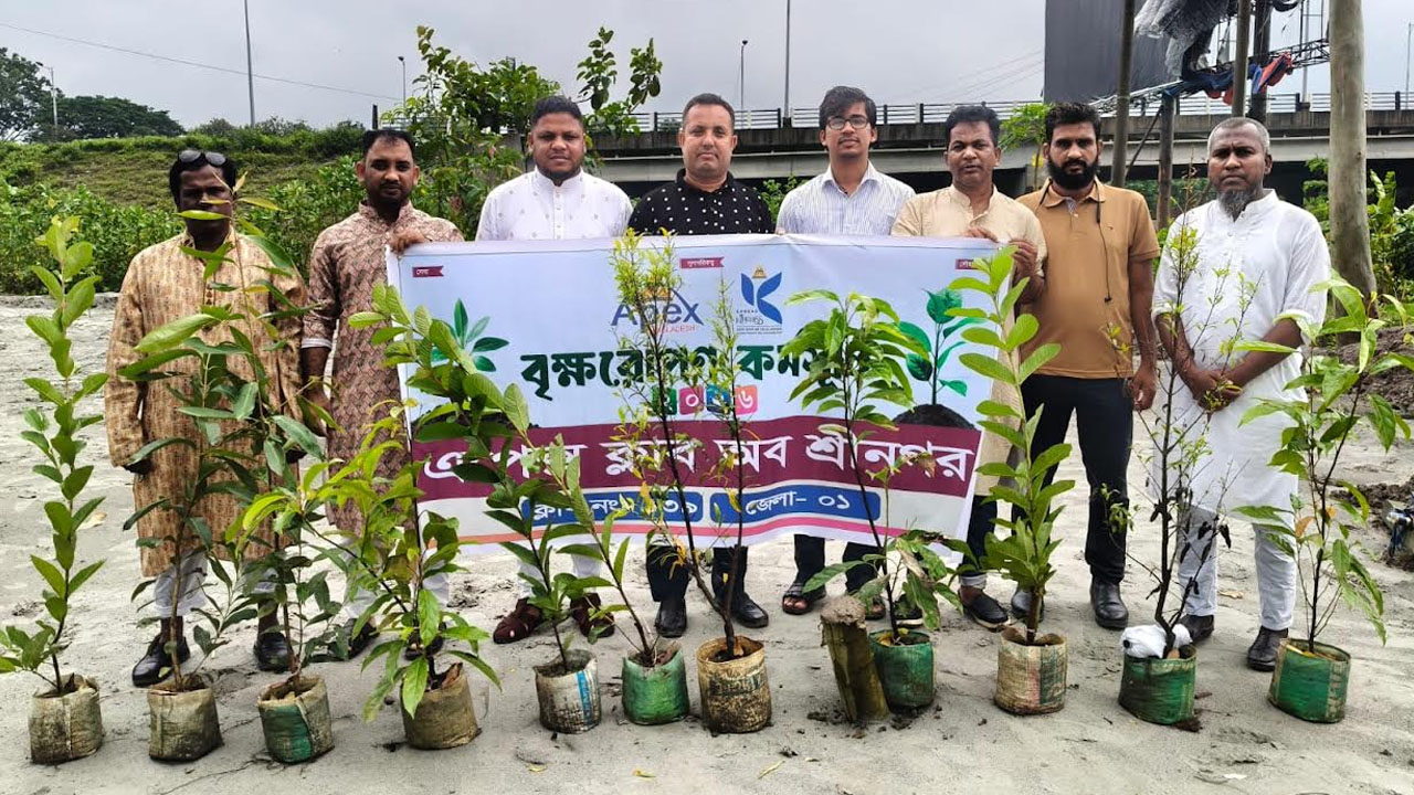 ঢাকা-মাওয়া এক্সপ্রেসওয়ের পাশে বৃক্ষরোপণ
