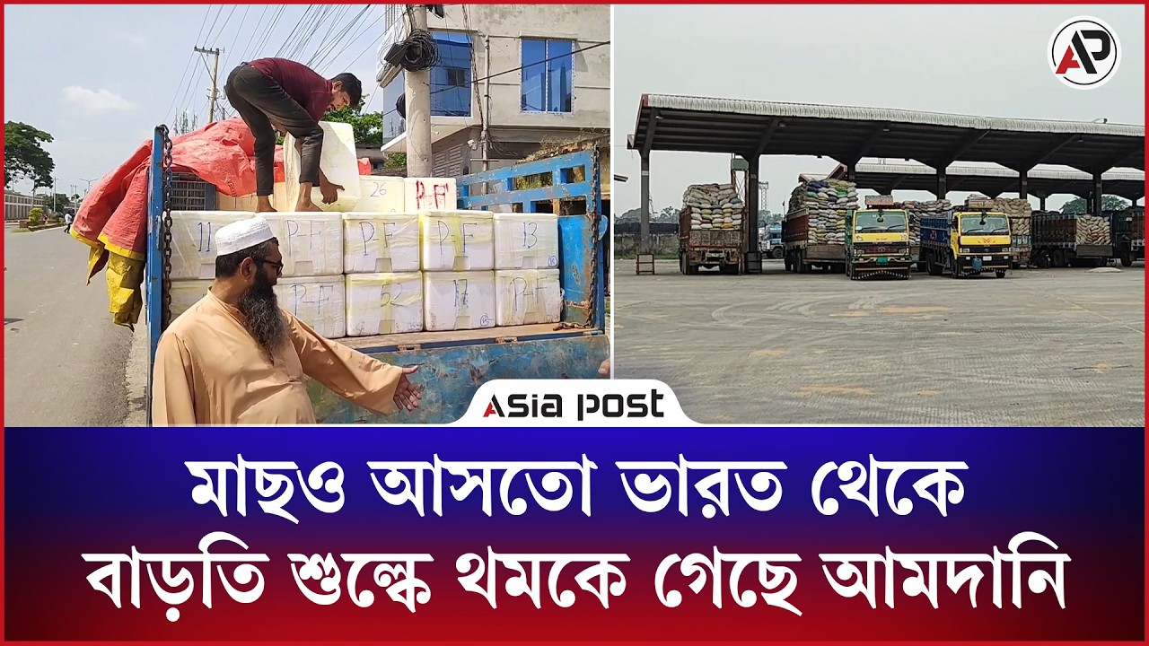 মাছও আসতো ভারত থেকে, বাড়তি শুল্কে থমকে গেছে আমদানি