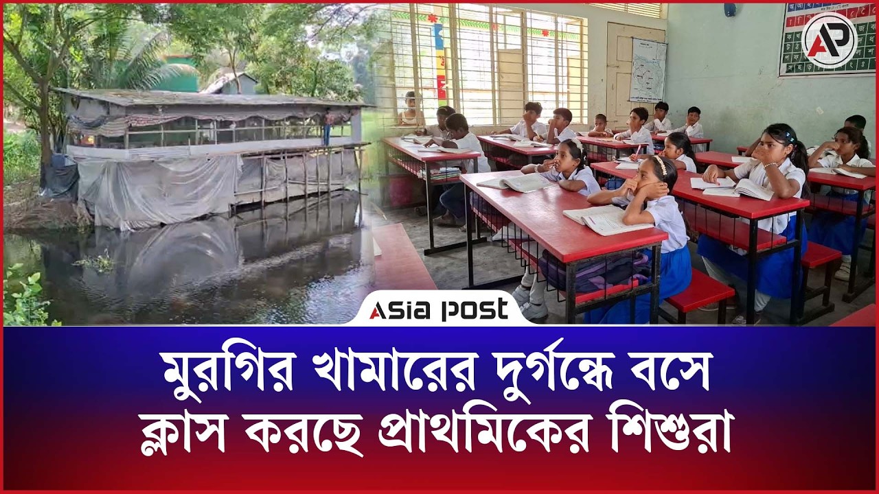 মুরগির খামারের দুর্গন্ধে বসে ক্লাস করছে প্রাথমিক বিদ্যালয়ের শিশুরা