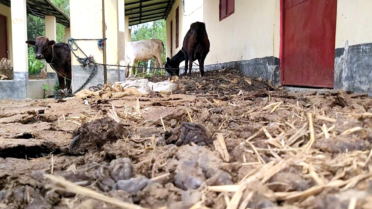 ছবি: এশিয়া পোস্ট