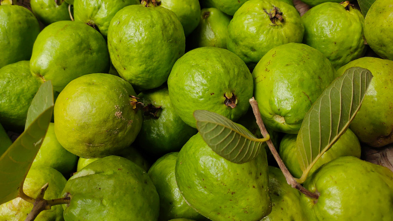 মিষ্টি পেয়ারা চিনবেন যেভাবে