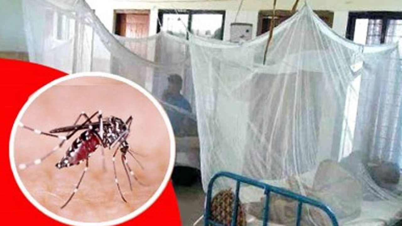 ডেঙ্গুতে আক্রান্ত হয়ে এক দিনে হাসপাতালে ভর্তি ৬৮