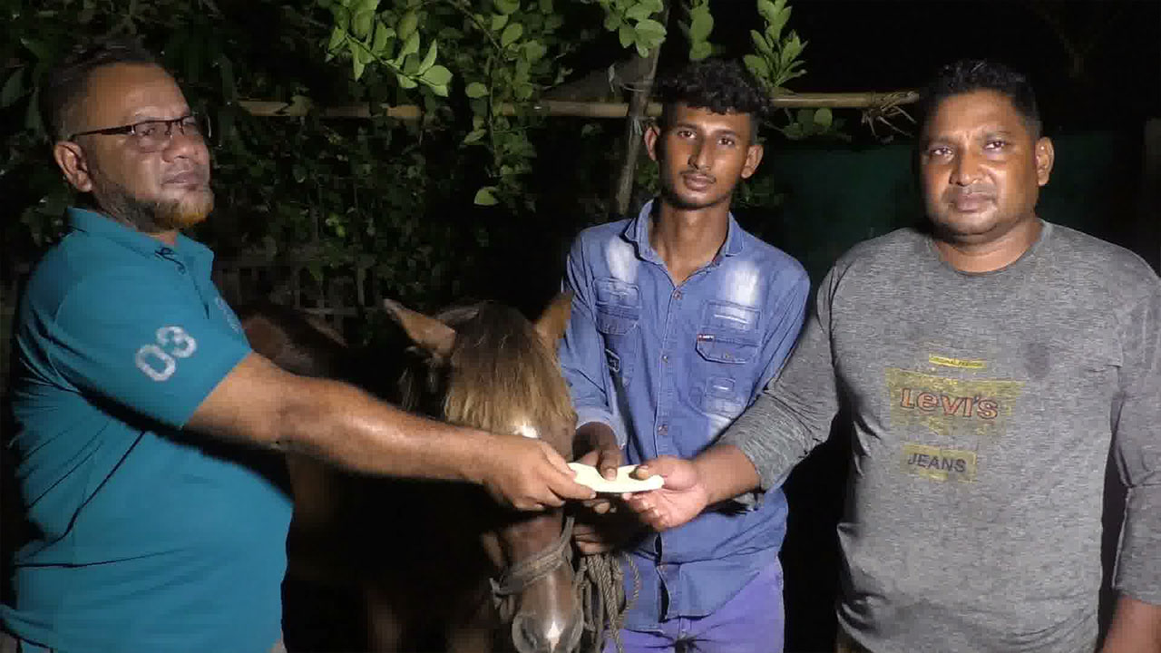অন্ধ ঘোড়ার দেখভাল করা কলেজছাত্র সোহানের পাশে প্রধানমন্ত্রী