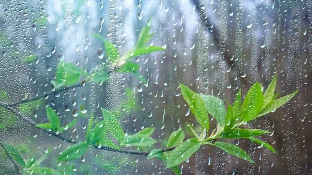 বৃষ্টি কত দিন থাকবে, জানাল আবহাওয়া অফিস