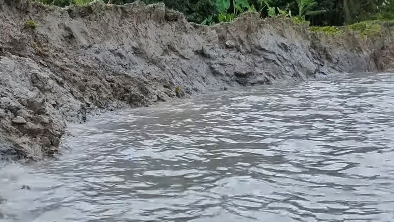 পায়রা নদীর ভাঙনে কৃষকেরা হারাচ্ছেন চাষাবাদের জমি। ছবি : এশিয়া পোস্ট
