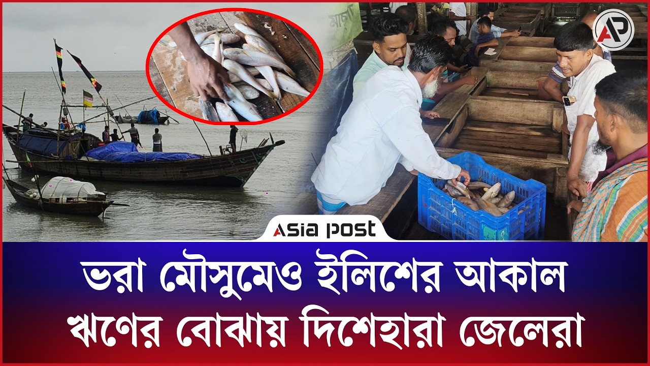 ভরা মৌসুমেও ইলিশের আকাল, ঋণের বোঝায় দিশেহারা জেলেরা