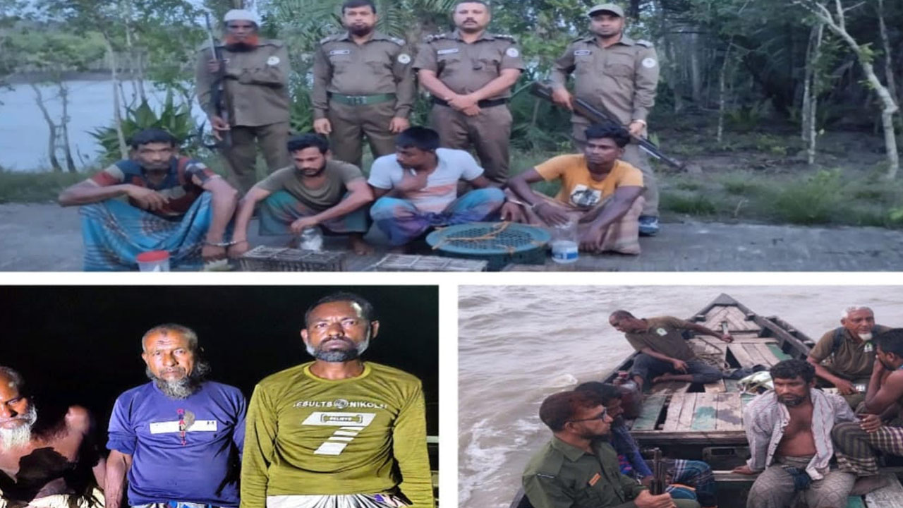 সুন্দরবনে অবৈধ কাঁকড়া আহরণে আটক ১০