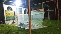 মণ্ডপে মশারি টানিয়ে ঘুমানোর আসল কারণ জানা গেল
