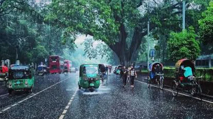 Rainfall likely to increase over next 5 days: BMD