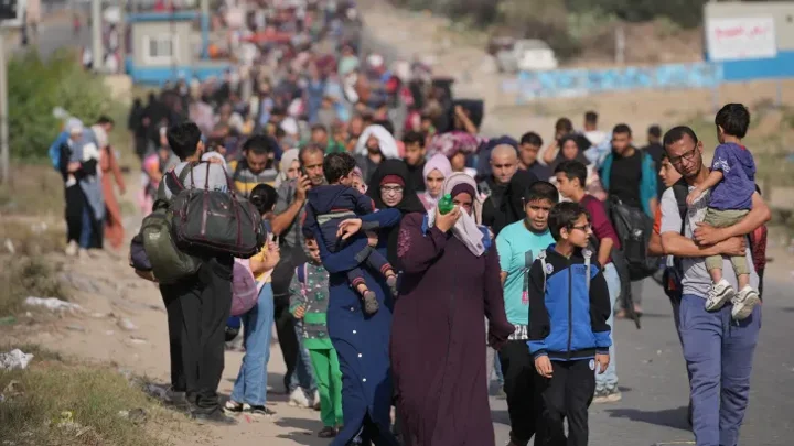 300,000 displaced people in Gaza seek safe shelter: UNDP