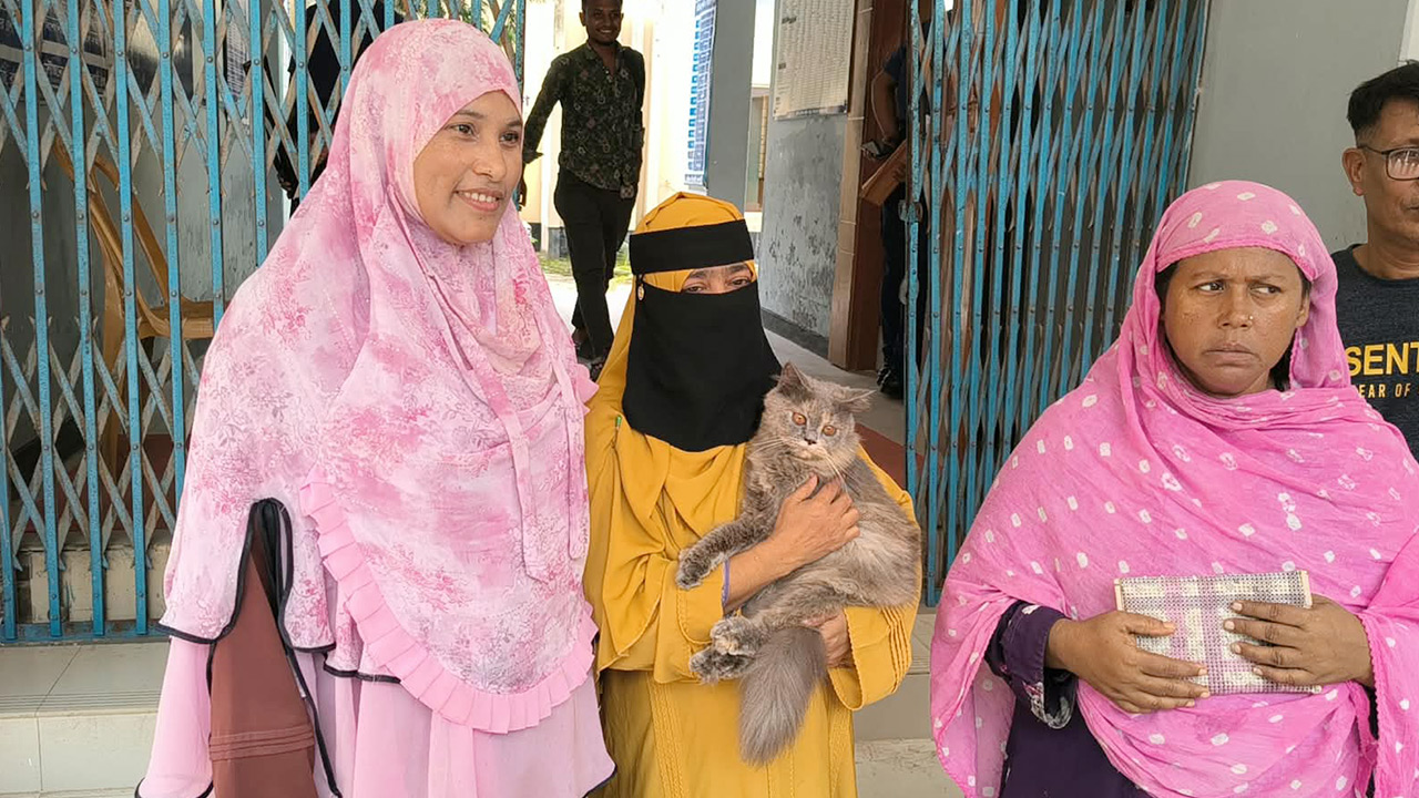 Pabna-Cat