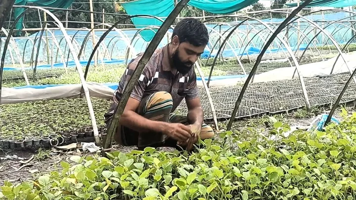 মাটিবিহীন কোকোপিট ও প্লাস্টিক ট্রেতে সবজি চাষ করে তাক লাগিয়েছেন ফরিদ
