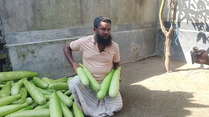 এক কেজি গরুর মাংস কিনতে বিক্রি করতে হয় ৩ হাজার লাউ