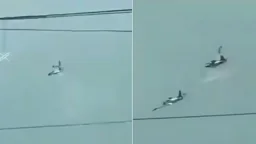 মাঝ আকাশে দুই বিমানের সংঘর্ষ, ৪ পাইলট নিহত