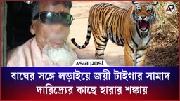বাঘের সঙ্গে লড়াইয়ে জয়ী টাইগার সামাদ এখন দারিদ্র্যের কাছে হেরে যাওয়ার শঙ্কায়