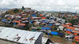 কক্সবাজারে ডেঙ্গু রোগীর সিংহভাগই রোহিঙ্গা