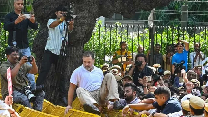‘জ্ঞানেশ, ইটস ডান ব্রো’, ভারতের সিইসিকে বার্তা রাহুল গান্ধীর
