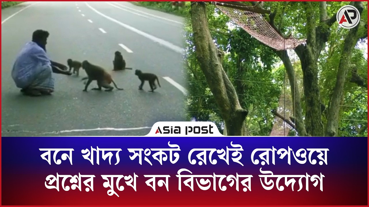 বনে খাদ্য সংকট রেখেই রোপওয়ে, প্রশ্নের মুখে বন বিভাগের উদ্যোগ 