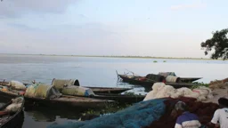 ১২ বছর আগে শুশুক অভয়ারণ্য ঘোষণা, জেলেরাই জানেন না 