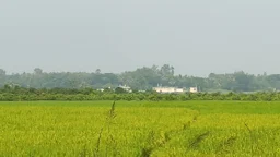 বিএসএফের পুশইন ঠেকাল বিজিবি, শূন্যরেখায় চারজন