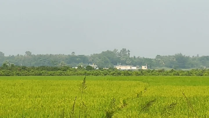 বিএসএফের পুশইন ঠেকাল বিজিবি, শূন্যরেখায় চারজন