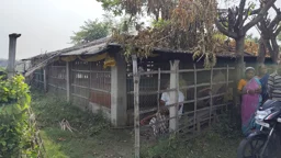 অস্ত্রের মুখে ৬৫০ মুরগি ও ২০ বস্তা খাবার লুট