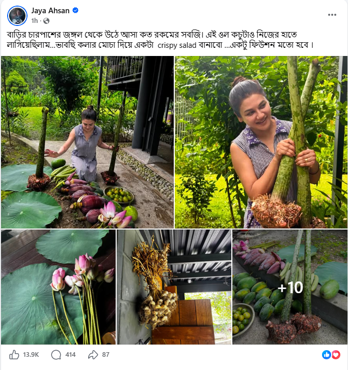 ছবি: জয়া আহসানের ফেসবুক থেকে নেওয়া