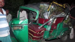 শেরপুরে সড়ক দুর্ঘটনায় নিহত ১