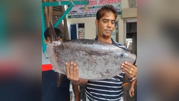 বঙ্গোপসাগরে জেলের জালে বিরল ‘স্লেন্ডার সানফিশ’