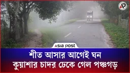 শীত আসার আগেই ঘন কুয়াশার চাদর, ঢেকে গেল পঞ্চগড়
