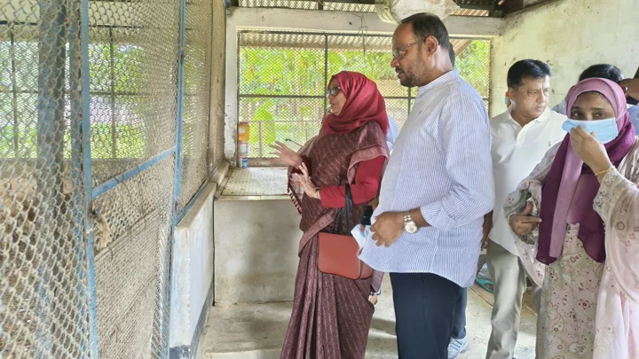 কেন্দ্রীয় মুরগির খামারে বাচ্চা উৎপাদন বাড়ানোর নির্দেশ প্রতিমন্ত্রীর