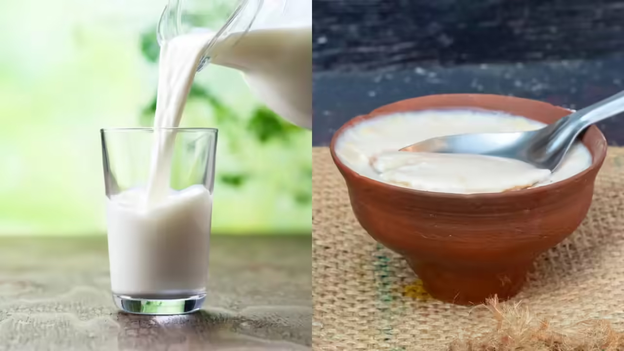ছবি: দ্য টাইমস অব ইন্ডিয়া