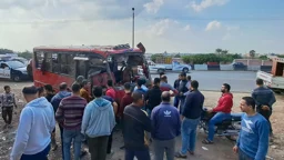 মিশরে পর্যটকবাহী বাস দুর্ঘটনায় ১২ জন নিহত, আহত ৩০ 